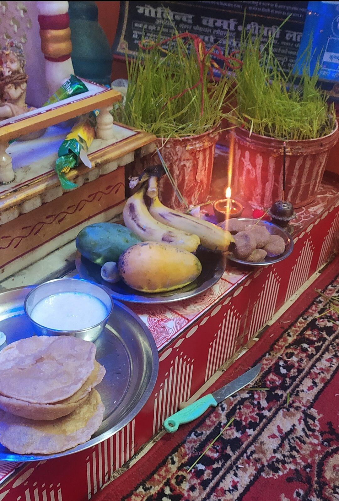 Harela: the whole village plants the future