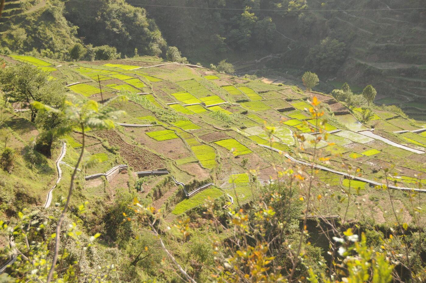 The Haat Valley