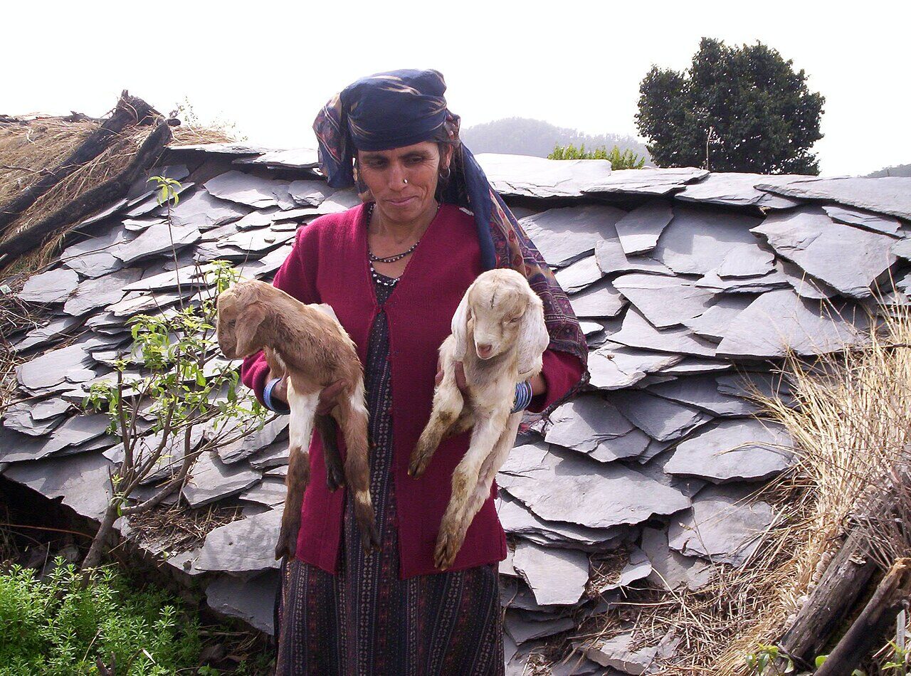 A hill woman of Uttarakhand — the backbone of the mountain economy
